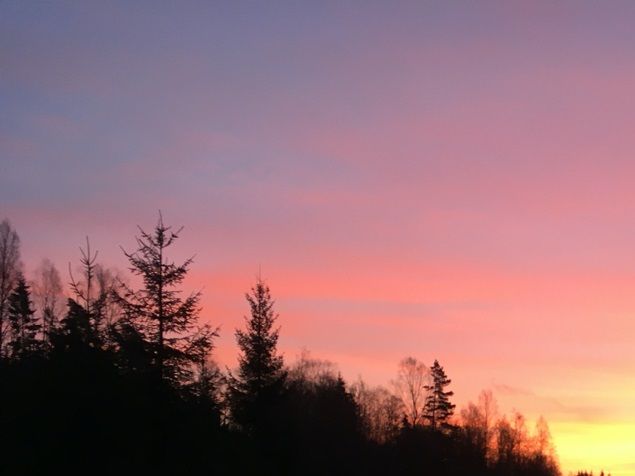 Så jättejätte vacker bild. Jag riktigt längtar fram i oändligheten. En härlig framtidstro. Hörde en pojk berätta för sin kompis idag: för jättejättejättelängesedan stod det ett hus på vår gräsmatta, det var säkert 50 år sedan. Då tänkte jag att jag måste vara jättejätttejättegammal som fyllt 50... Kanske når jag vägs ände snart??? Ingen oro, det finns en plan för allt, en tidtabell. 🙏 🧝🏻‍♀️ 👼🪐
