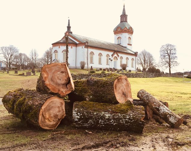 Stor delar av dagen har gått åt till att ringa, studera, jaga folk och be. Mer kan jag inte skriva idag. 🙏