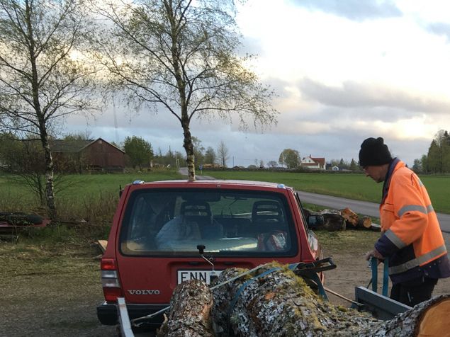Trädgårdsjobb, djursamtal och slutligen hämta päronstockar. Inte pyttesmå, utan lika gamla som vårt hus från 1884. Troligtvis! Det vill säga, päronträdet blev 136 år! Det är sällan man kan se så kraftiga stammar. Det ska bli så intressant när de är uppsågade. Nu är de överlämnade till P-O för uppsågning. Spännande fortsättning följer...