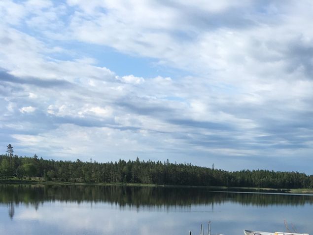 PHU! Stenläggning är jättekul, men väldigt jobbigt i stekande sol. Det är även plattsättning och dess förberedelser. Jag tror jag druckit 8 liter idag. Så härligt när arbetsdagen är slut kl 17.30 och ta ett dopp och tvaga sig. Var så skitig att jag var helt brun på huden. Och då var det inte solbränna... 🤣 Jag fick en båt av kunden! Så glad jag blev och så glada barnen blev! Tusen tack!!!🛶