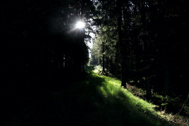 Jag älskar naturen; luften, vibrationerna och stillheten! Det finns massor av energi att hämta upp och ladda sina batterier med. Jag funderar på att skapa helger för kvinnor som vill komma ut till mig, bli inspirerad av mitt jobb, min verksamhet. Lära sig så fröer, föröka växter, ympa, göra egen tvål, schampo med naturen som bas, plocka örter och göra tinkturer, salvor och framför allt; meditera, heala varandra, lägga kristaller. Programmera sin egen bergskristall. Rida och blunda - känna sig inåt. Och bara sitta i stillheten och få Universums kraft tillsammans med mig. 🙏 Vara värdefull! 💕
