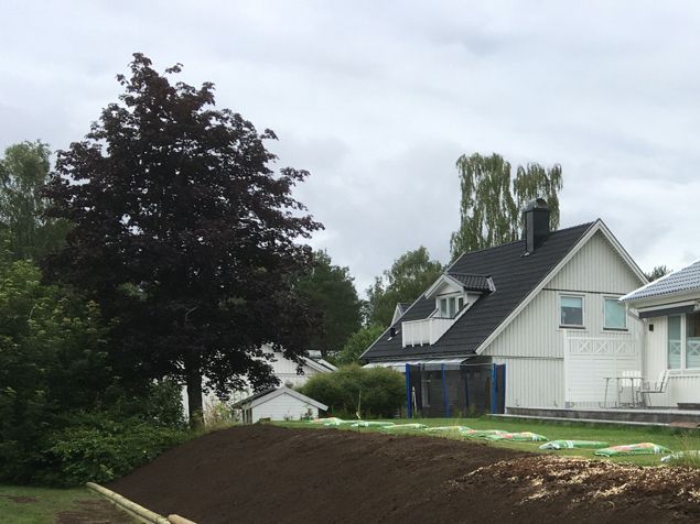 Dagens arbetsplats, 33 meter rabatt att fylla med plantor och inte vilka plantor som helst utan bärplantor. 👍 Härliga amerikanska blåbär, krusbär, vinbär, slånaronia, hassel, hagtorn, saskatoon i olika varianter och ordning. En sådan fantastisk slänt. Fantastiska kunder som gör bin och insekter en stor tjänst med nektar och pollenvärden i olika grad. Och en stor hälsoinsats för dem själva att äta hemmaodlat. Helt utan besprutning och transport 😄