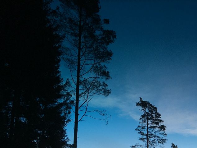 Att gå upp i ottan och vänta (jobba) in morgonljuset är värt att vänta på. Det är så vackert att jag bara kan stå still och njuta. Jag blir så laddad och lycklig ❤️ Denna bilden ska jag skriva ut och epoxa in någon gång. Men nu hinner jag inte. Det blir ett vinterprojekt. Hur fort kan en dag gå? Halva dagen till kontorsarbete av alla de slag. Ack så nödvändigt trots finaste vädret. Andra halvan blev en kund glad för utfört trädgårdsjobb. Och jag med 😄 🌺 🌿 🌳