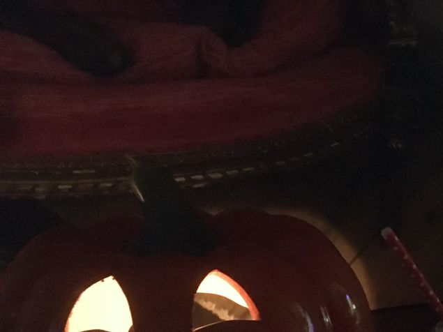 Oj, bus eller godis? Denna sed från Irland är inte min grej. Däremot att helga våra gamla helgon. 😇 Alla själars dag, minne av de avlidna. 🙏 Det är min grej. En dag för eftertanke. 