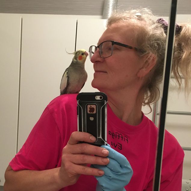 När jag hjälpte dagens första kund i hemmet fick jag finfin och mycket trevlig hjälp av en liten pratsam nymfa. 🦜❤️ När jag var mycket yngre hade jag undulater så det var så härligt att känna fågelklor i håret. Det var 30 år sedan sist! 💕