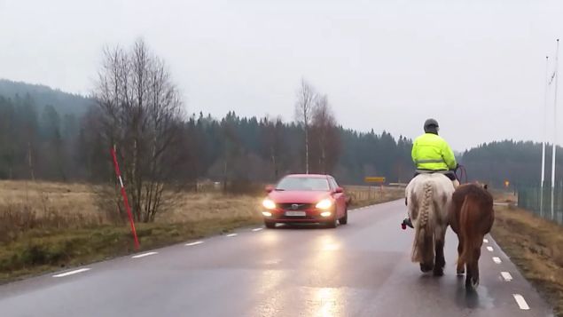 Tack alla bilister som kör så fint och försiktigt förbi mig och mina hästar när jag är ute på ridtur. Ibland, sällan som tur är, kommer någon dåre och kör så fort att jag tror att hen kör fort förbi så hen är förbi om det skulle hända något. Idioter. Men det är sällan vi möter sådana. De allra flesta hinner jag nicka ett tack till eller bara le, men jag är så tacksam för bilisternas omtanke. 💕
Har bara jobbat halvdag med massage och djurkommunikation, tiden är knapp idag. Kortaste dagen på året 😆. Kl 11.03 var det dax att se framåt igen 😍 Åhhh - vad jag längtar till mars 🥰
