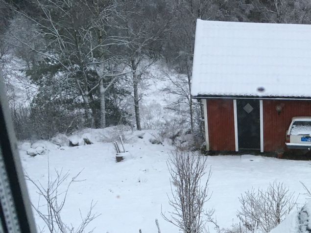 Vilka maffiga stora snöflingor det kom i förmiddags. Så vackert det helt plötsligt blev! ❄️  Har varit ute och övningskört med pojken, dax att prova lite halkkörning. På lediga stunder strävar vi att få färdigt epoxyrummet så jag kan börja med beställningarna. Har vackert virke på tork. Åhhh - vad jag ser fram emot det vinterjobbet. 💕