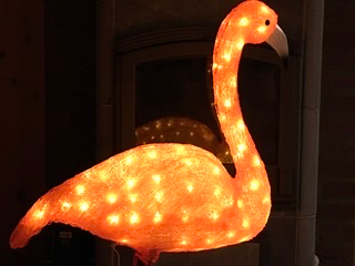 Kunde inte låta bli. Har talat med så fina djur, både här och på andra sidan.  Den varma lilla jag talade med, lite akut, var inte så pratsam. Bara nöjd och tillfreds. Hittade denna flamingo och dens kompis i butiken idag när jag köpte jord för mina små frösättningar. Lysande! 