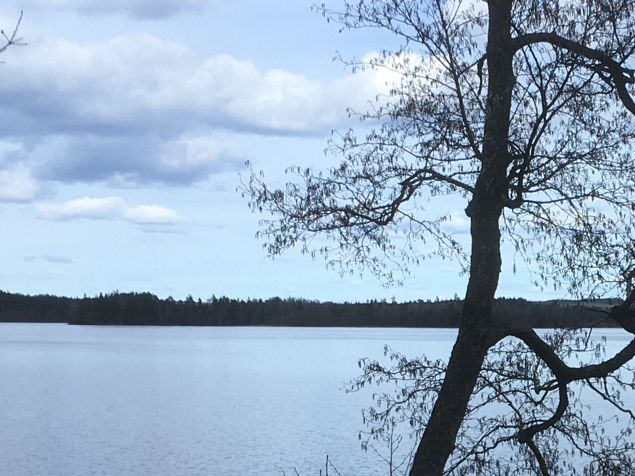 En så rogivande dag att jobba vid sidan av sjön. Kunden har verkligen vacker utsikt och luften, ljuden och stämningen gör att jag helst skulle vilja jobba från morgon till kväll, varje dag. Men det går ju inte, men skönt de dagar jag är här. Jag lyssnar på en ljudbok, Robinson Crusoe, men att höra det stilla kluckandet av vattnet och höra fåglarnas kvitter är bättre och rent psykiskt stärkande. Att dessutom också kratta löv i ett par timmar är fysiskt stärkande och jag kan konstatera att jag iINTE behöver gå till gymet idag. 👍
