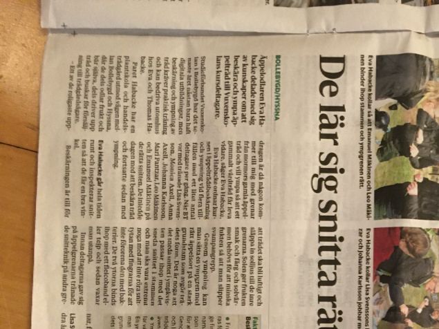 WOW! En helsida i Borås Tidning om helgens ymp- och beskärningskurser jag haft. Det har varit så jättertrevligt och jättekul! 👍 Och ännu fler bra bilder finna att se på BT på nätet för dem som prenumererar på digitalBT 😃 Anne kan både fota och skriva artiklar 🖌