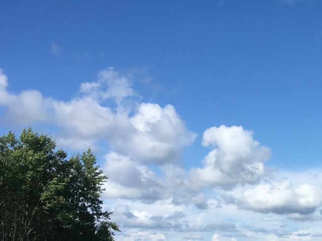 En heldag, verkligen en hel dag. Började dagen med ett samtal med en bortsprungen katt. Hoppas hon lyssnar på mina råd, inte bara tycker samma. Åkte sen vid 8 tiden till Göteborg och hämtade min lilla 90 åriga pappa och sen hans tjej Vivi på 85 år 💕. Vi åkte mot Kungälv och efter lite handlande i kexfabriken, shoppat i några second handbutiker så fikade vi med den fantastiska utsikten ut över havet vid en vacker rastplats på Orust. Vivi hade gjort så goa mackor och jag hade bakat muffins. Dagens resa var till Brunnefjälls fruktodling. Så fiiiint de har det! Så roligt att se hur de byggt upp sin odling och det kommer bli kanon 💣. Lustigt att just denna dagen, när jag var där på denna fältvandring med länsstyrelsen, ringde en kund och ville köpa pressduk till sin packpress. Precis som om jag var extra mycket 
