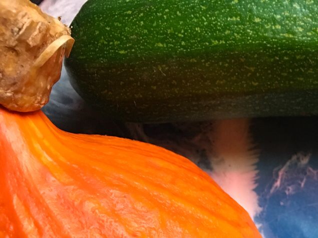 Snärjigt, men jag hann hem innan Podemester fra Danmark kom påbesök innan fortsatt resa till Falköping och älgjakten där. Så fina pumpor jag fick, olika vilökar att plantera och frysta hallon. En sådan lyx med massor av hallon. Mums. 