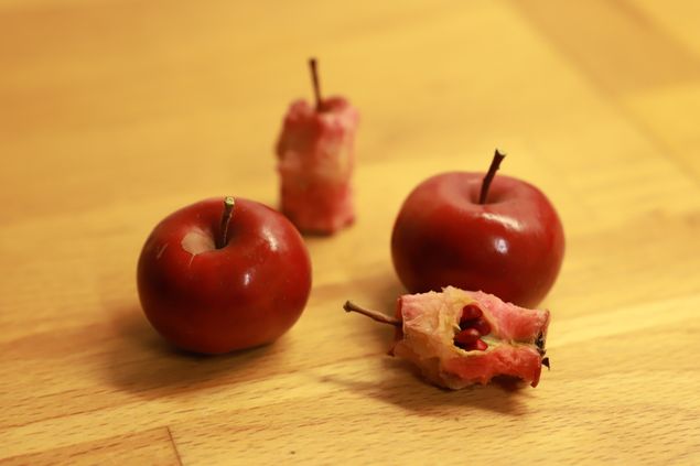 Ympning är så roligt och att kunna göra egna äppelträd är Power! Jag har fått rätt många förbokningar så endel sorter har tagit slut, se ymplistan under trädgårdsfliken. 🍎