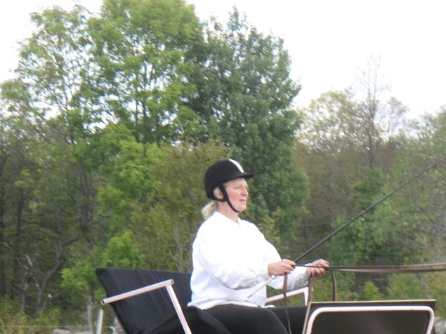 Nu har vi bestämt oss för att sälja vårt fina avelssto Ascona, född 2011. Snäll, vacker och alldeles underbar. Maila om du är intresserad av att veta mer. 