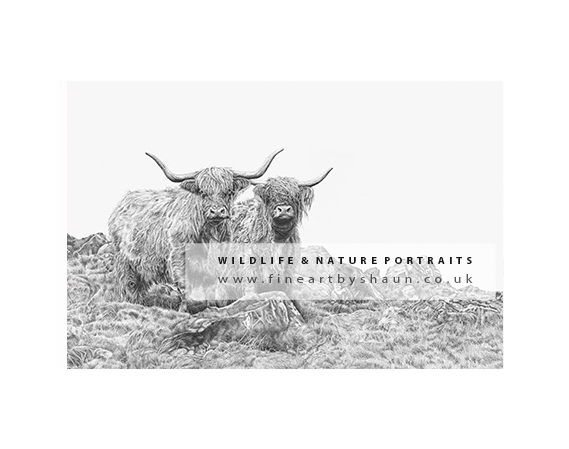 LOW BRACKEN MOOR
Original available- POA
30x40cm Print- £35
36x60cm Print- £65
A2 Print- £75
7x7
