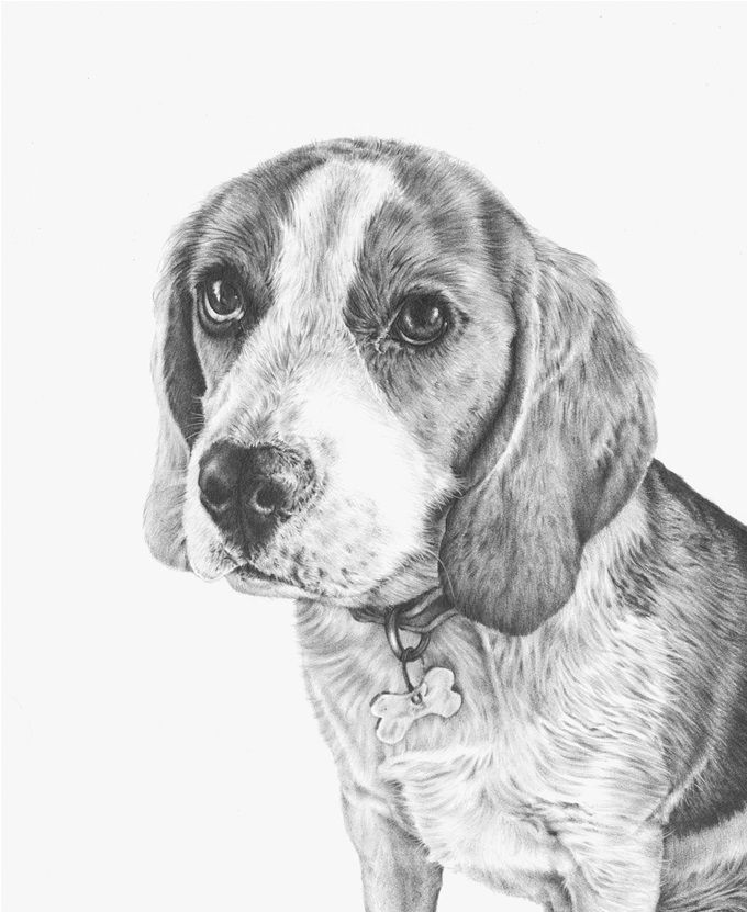 The lovely 'Chloe' portrait