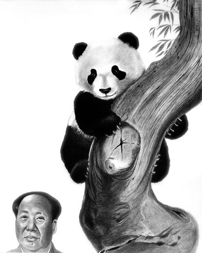 Mao med panda 