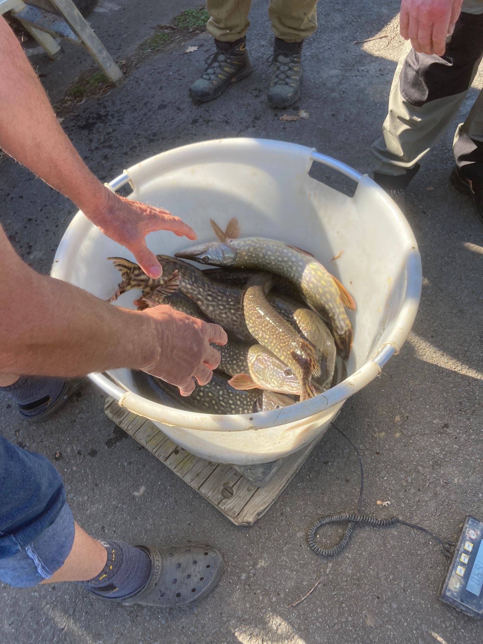 WhatsApp Image 2022-03-24 at 18.18.43