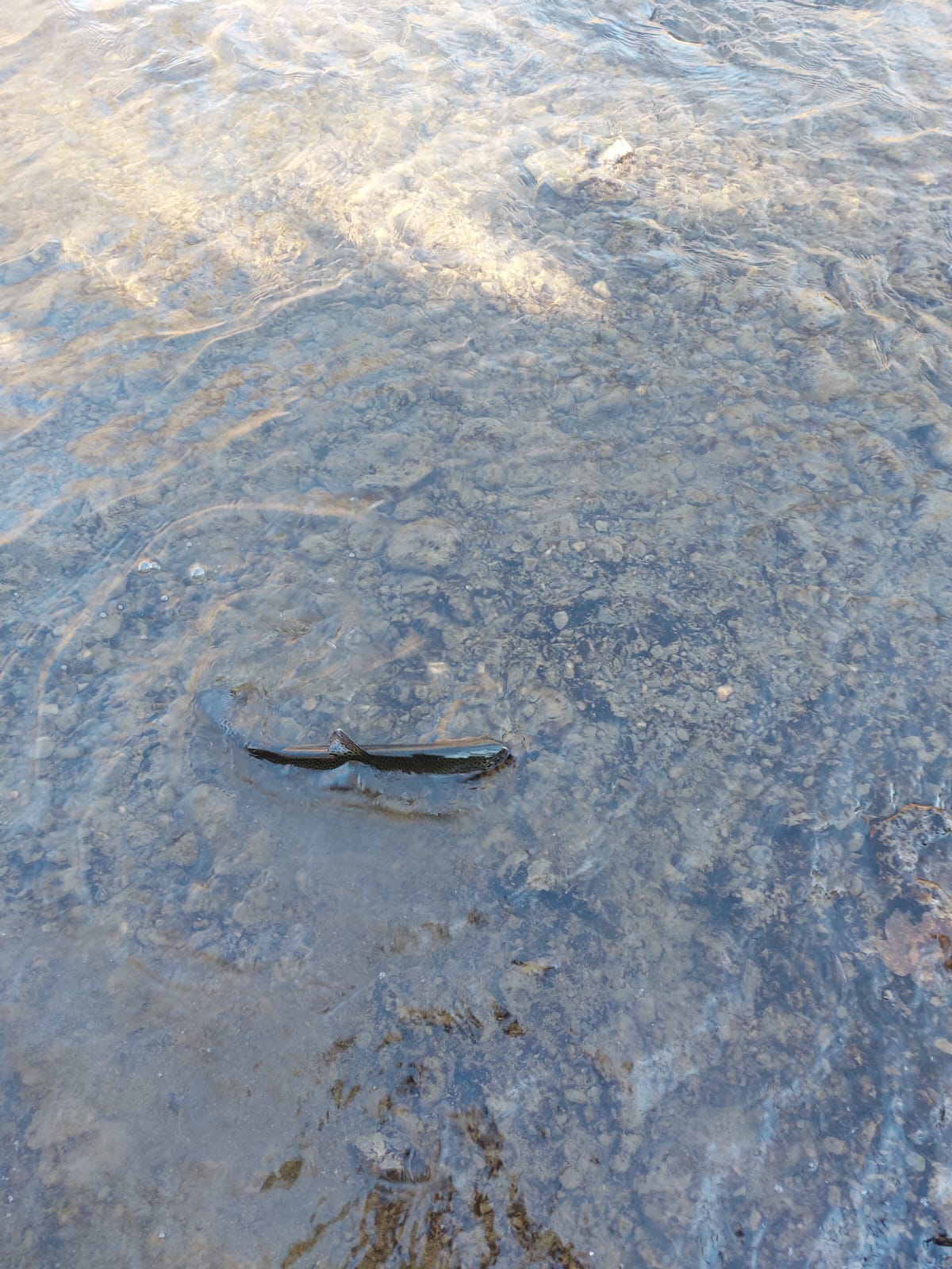 WhatsApp Image 2022-03-24 at 18.21.44