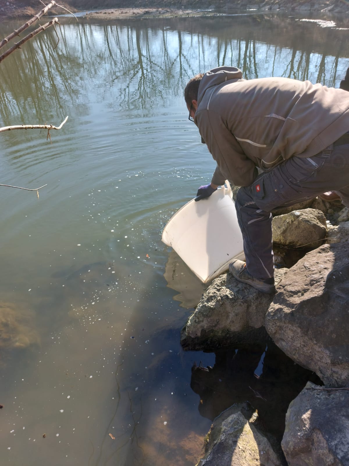 WhatsApp Image 2022-03-24 at 18.21.59