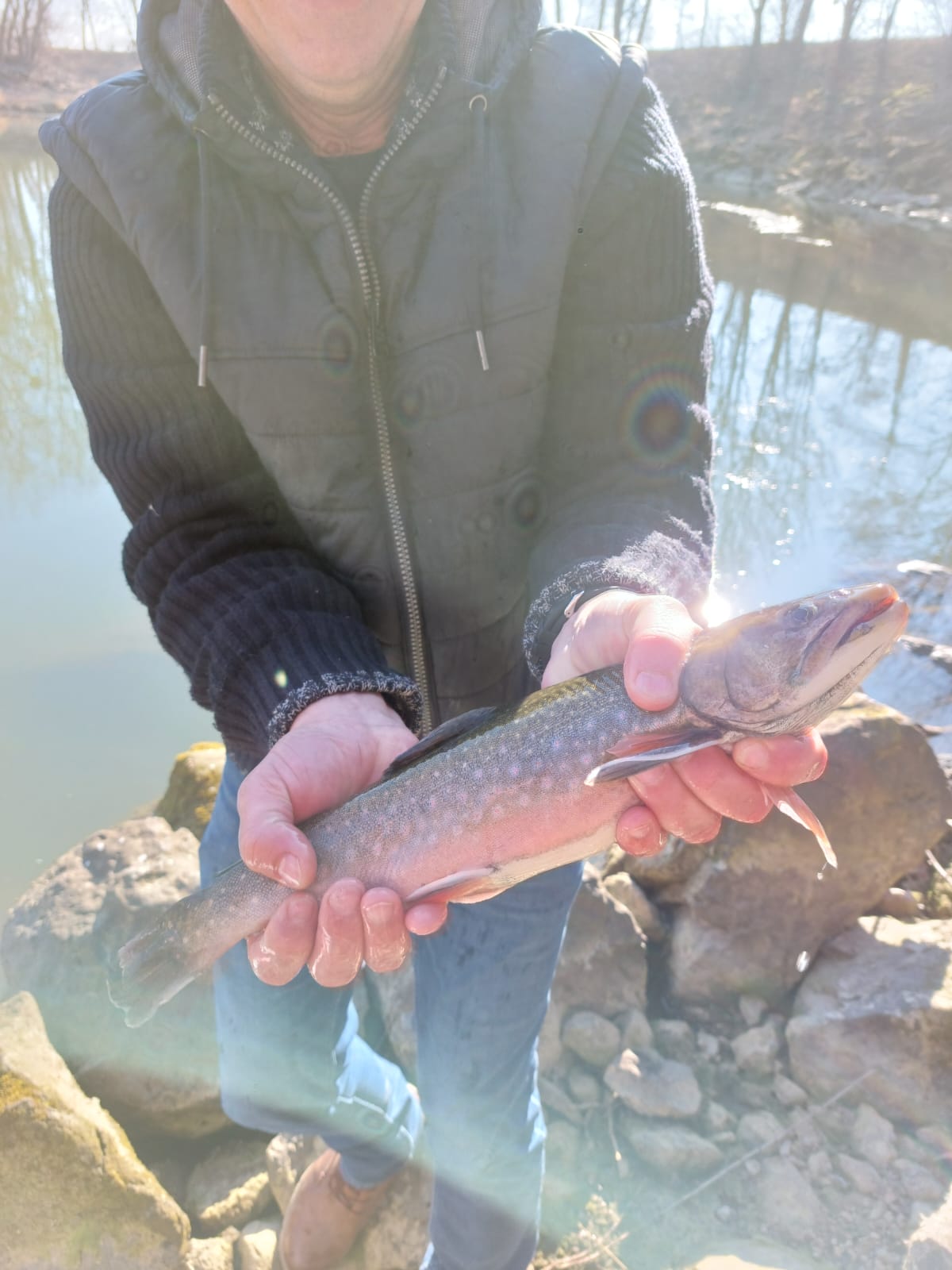 WhatsApp Image 2022-03-24 at 18.22.05