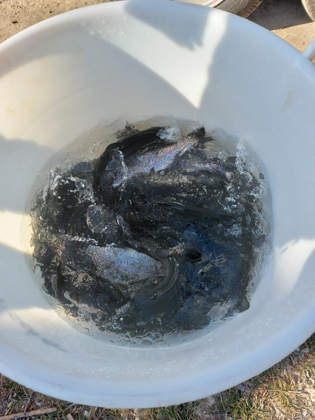 WhatsApp Image 2022-03-24 at 18.22.09