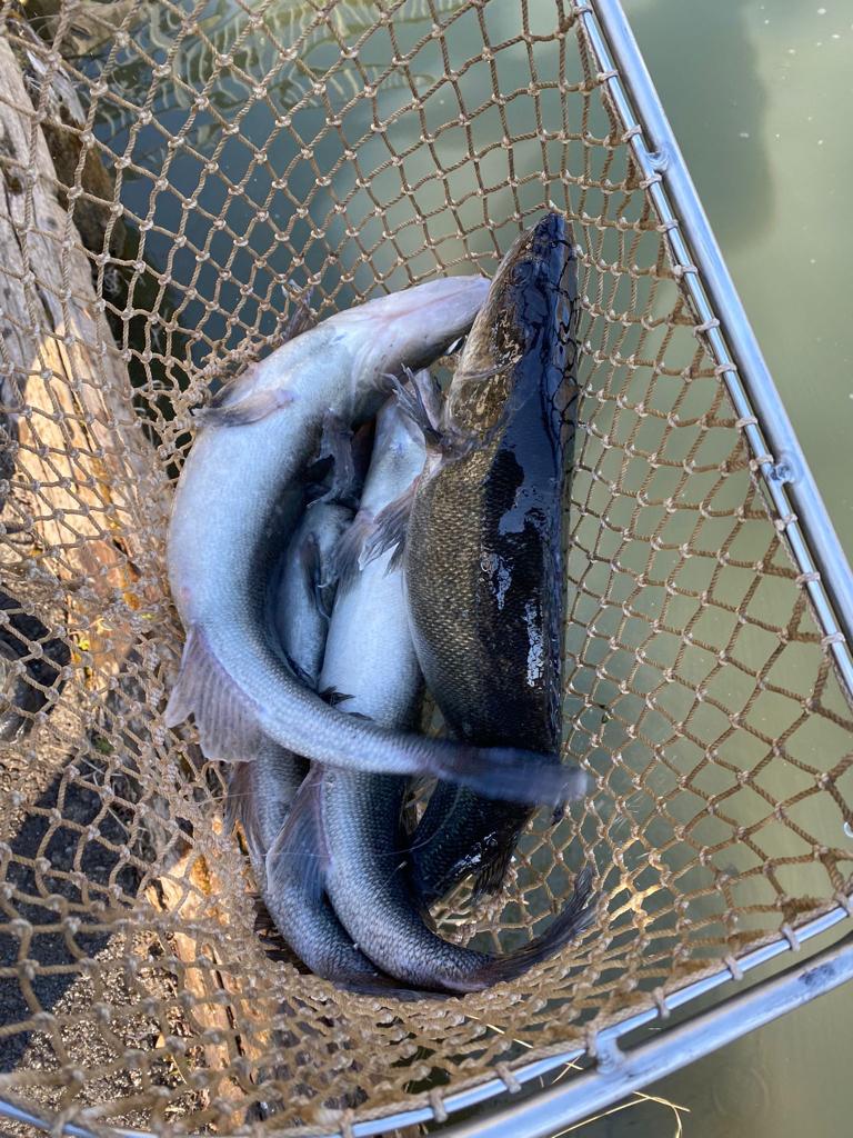 WhatsApp Image 2022-03-24 at 18.22.56