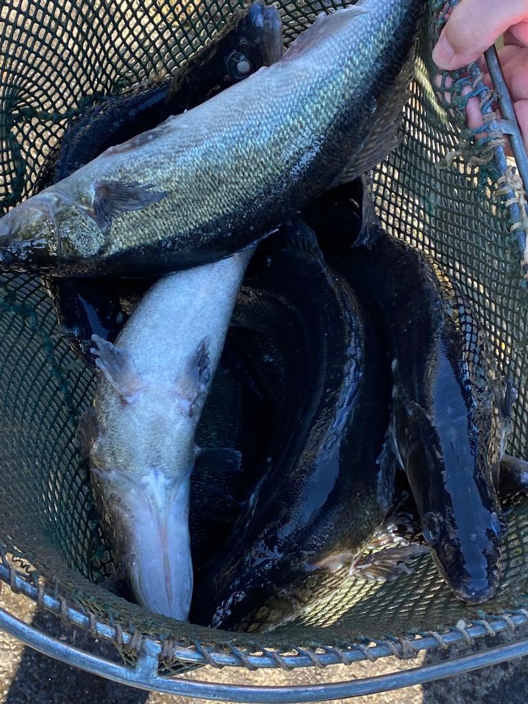 WhatsApp Image 2022-03-24 at 18.23.05