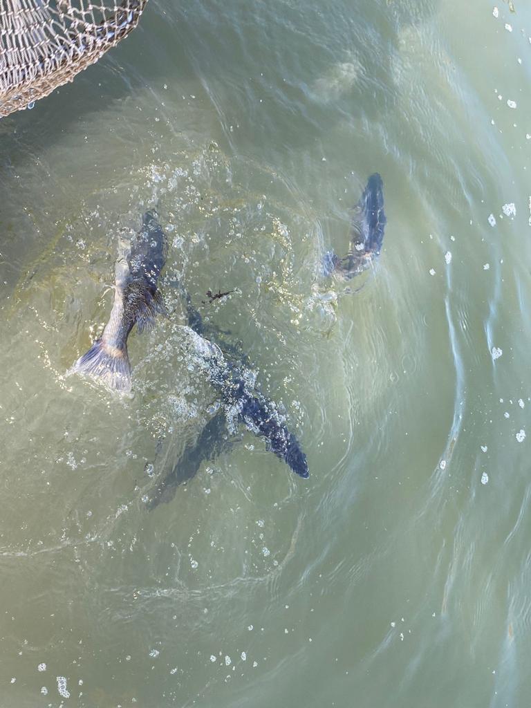 WhatsApp Image 2022-03-24 at 18.23.42 (2)