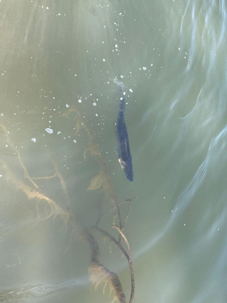 WhatsApp Image 2022-03-24 at 18.23.42