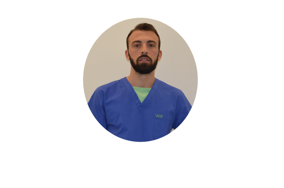 Foto del dottore in fisioterapia Simone Basile