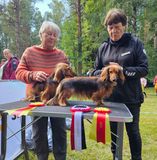 Raja og Speedy med Bjørg og dommer: Siv Bengtsson