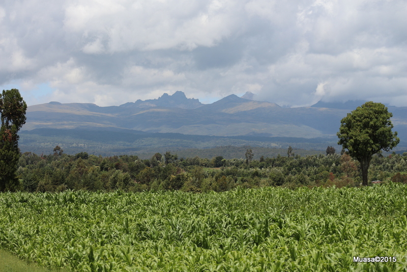 Mt. Kenya