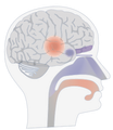 Flavour Institute