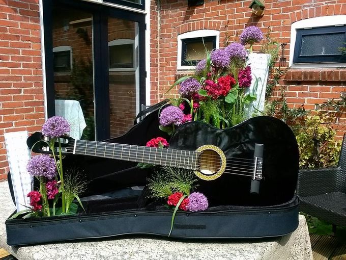 Gitaar in koffer 