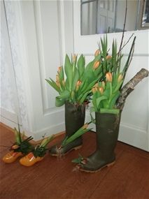 Laarzen met tulpen