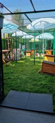 Extérieur clos et sécurisé 36 m2