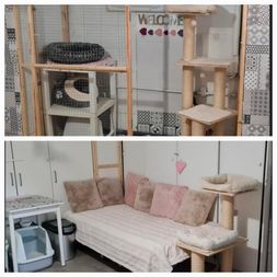Enclos Love et coin Cosy