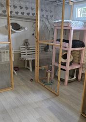 Eclos  Petits Coeurs et Papillons