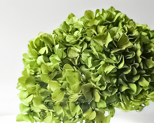 greena7