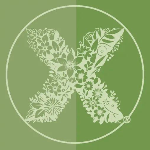 logox2 logox2