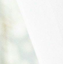 unsplash_21XW-kI2GG8