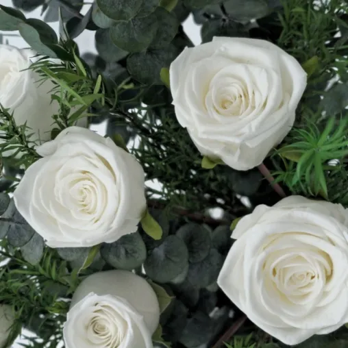 vinterrose2s vinterrose2s