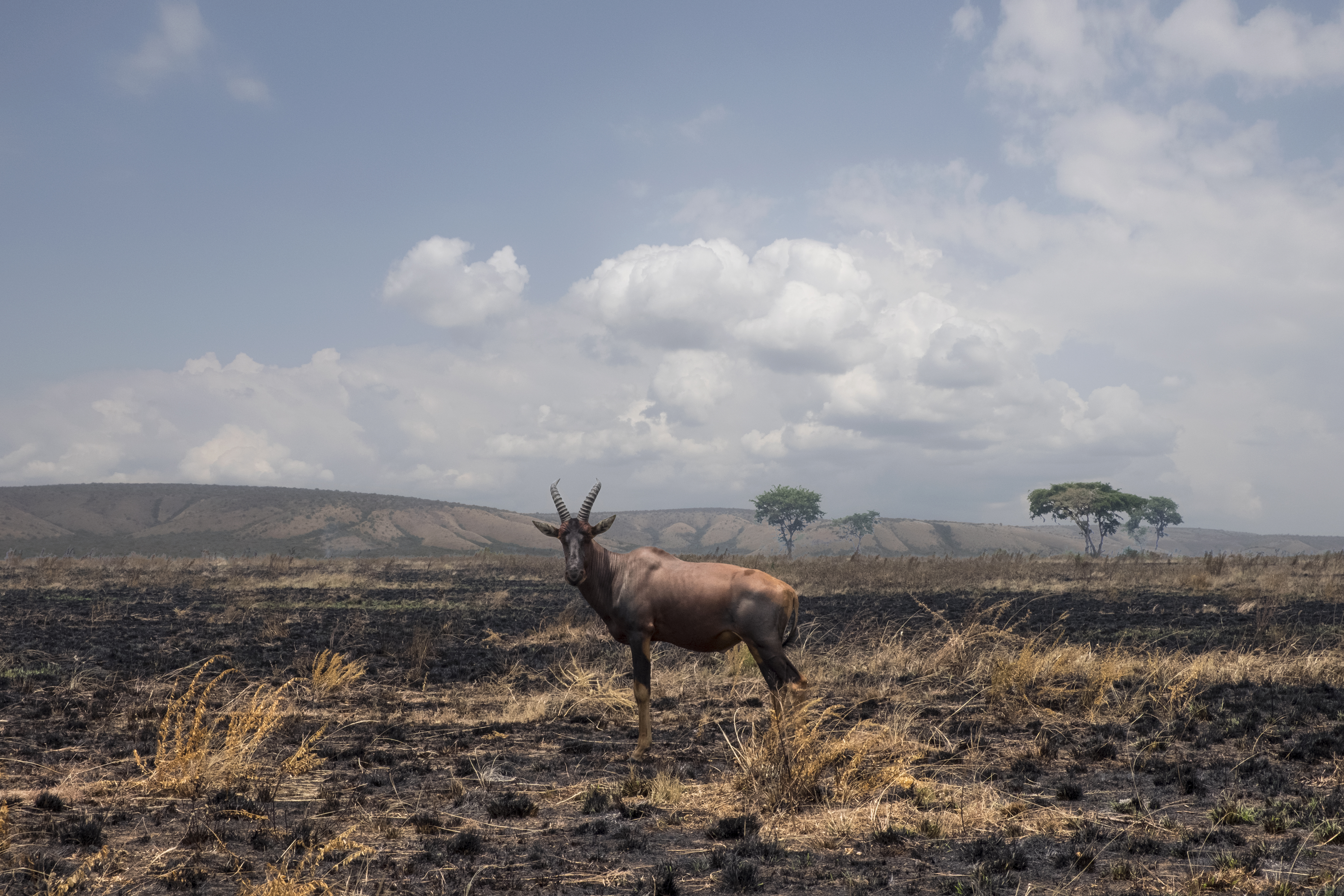 Uganda - 2019