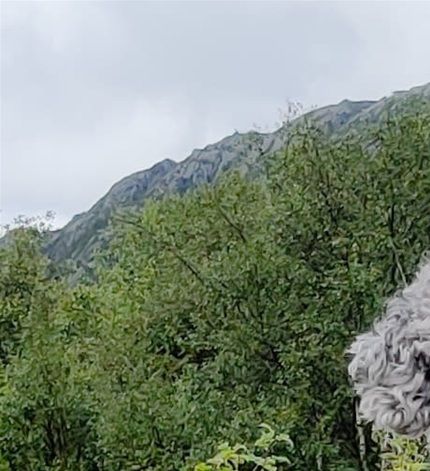 Balto og Merete