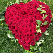 45E641E9-717C-4AFC-9954-D84B33CAE7B2