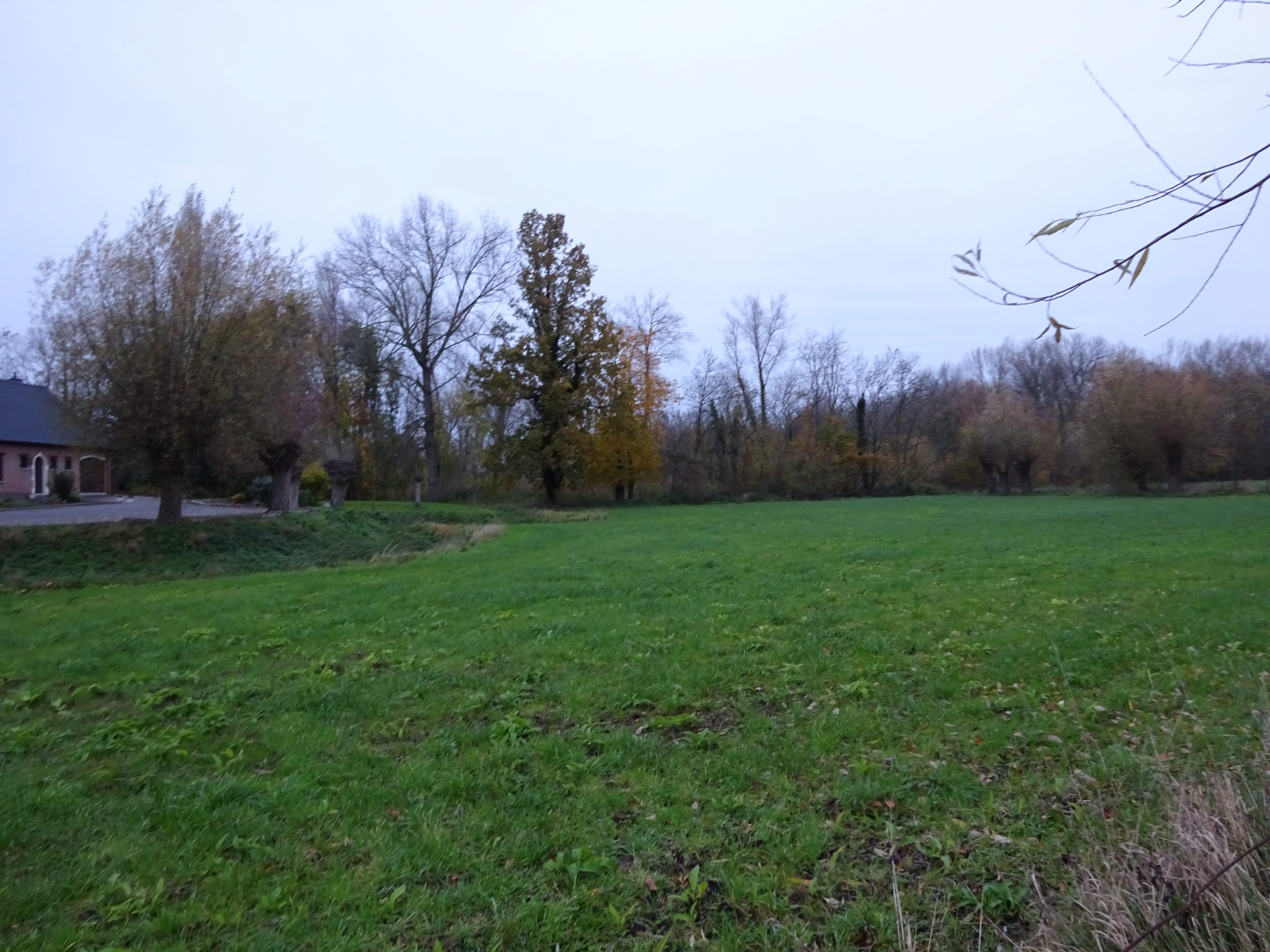 DSC01008