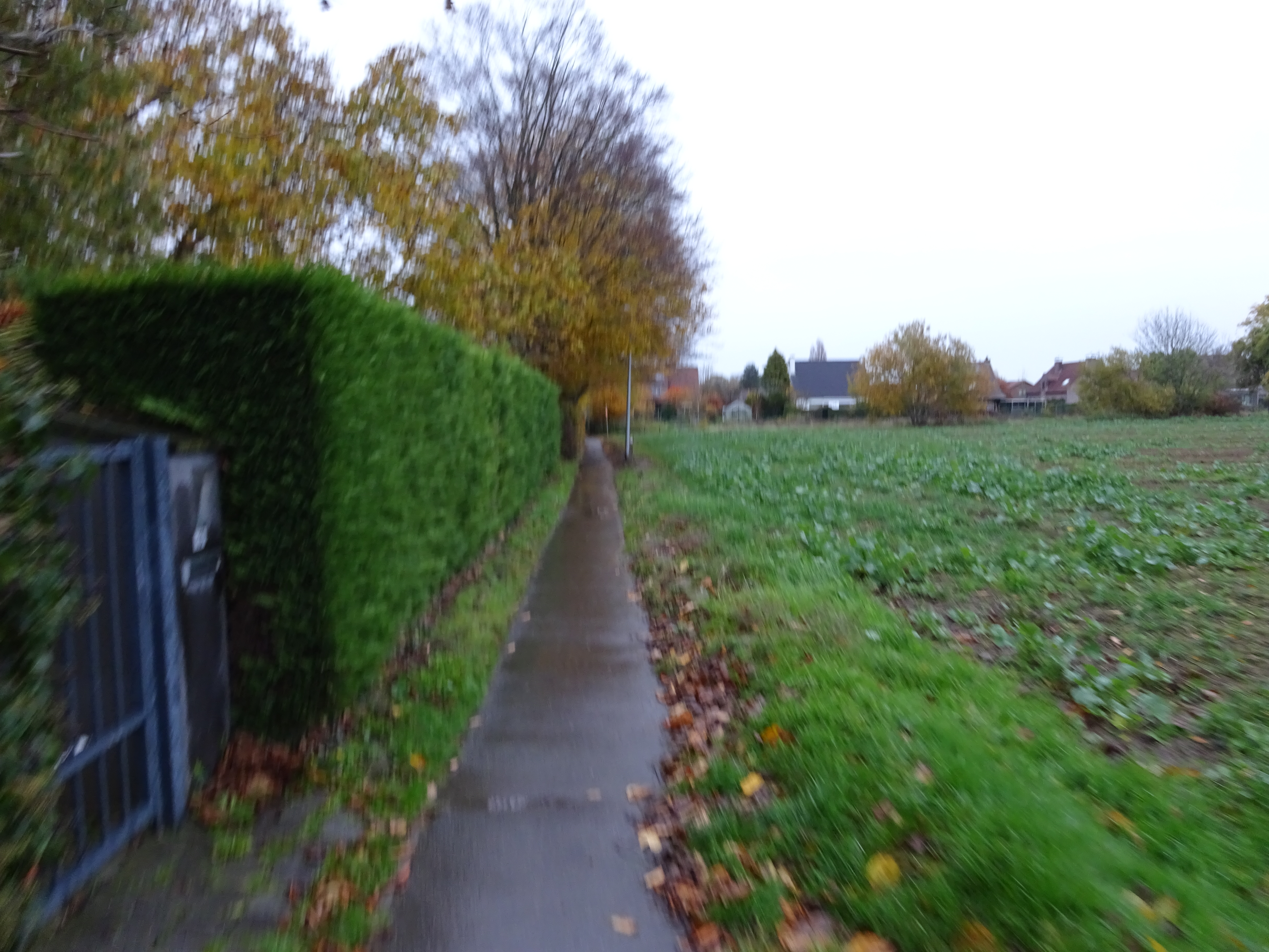 DSC01031