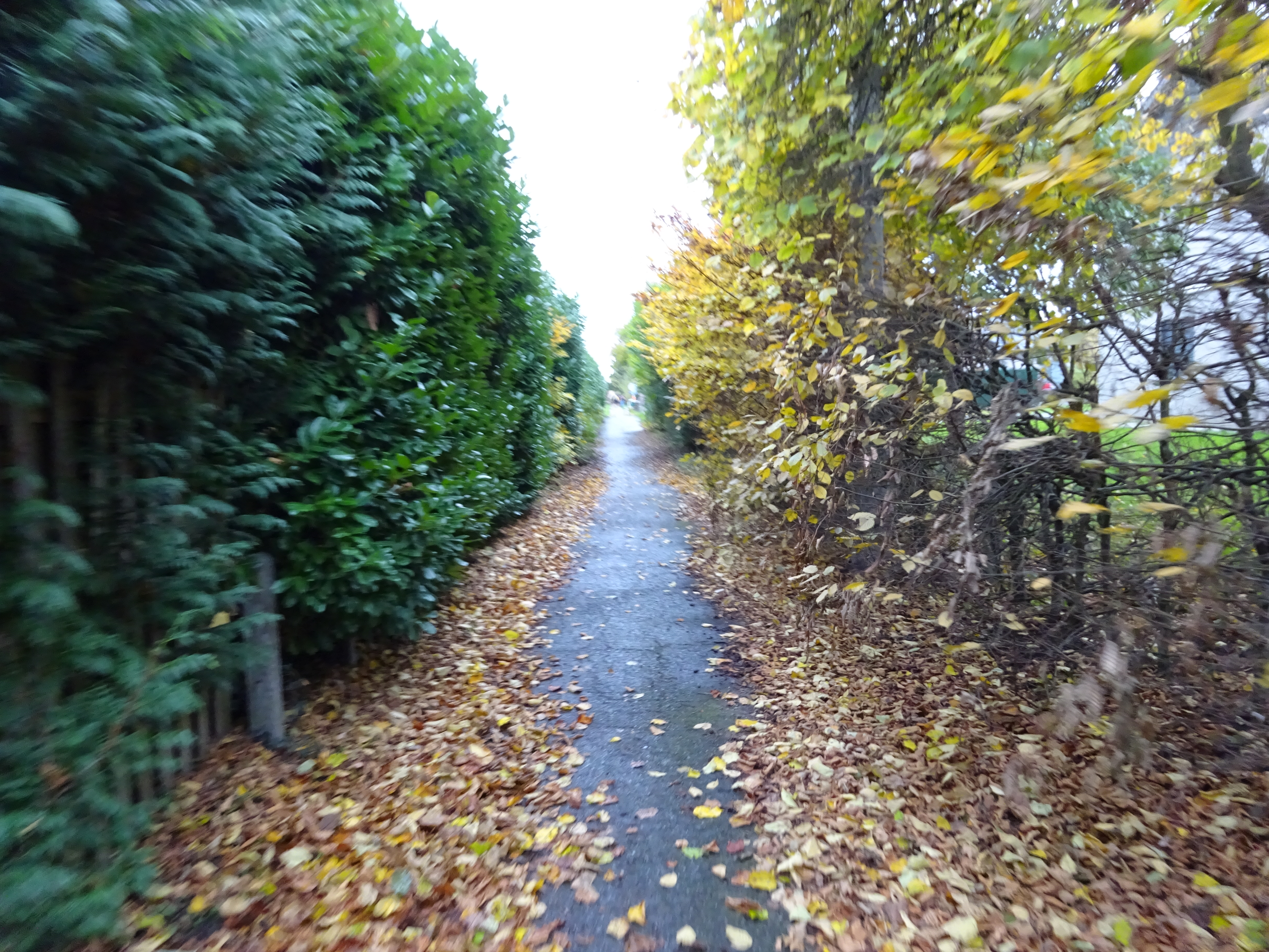 DSC01052