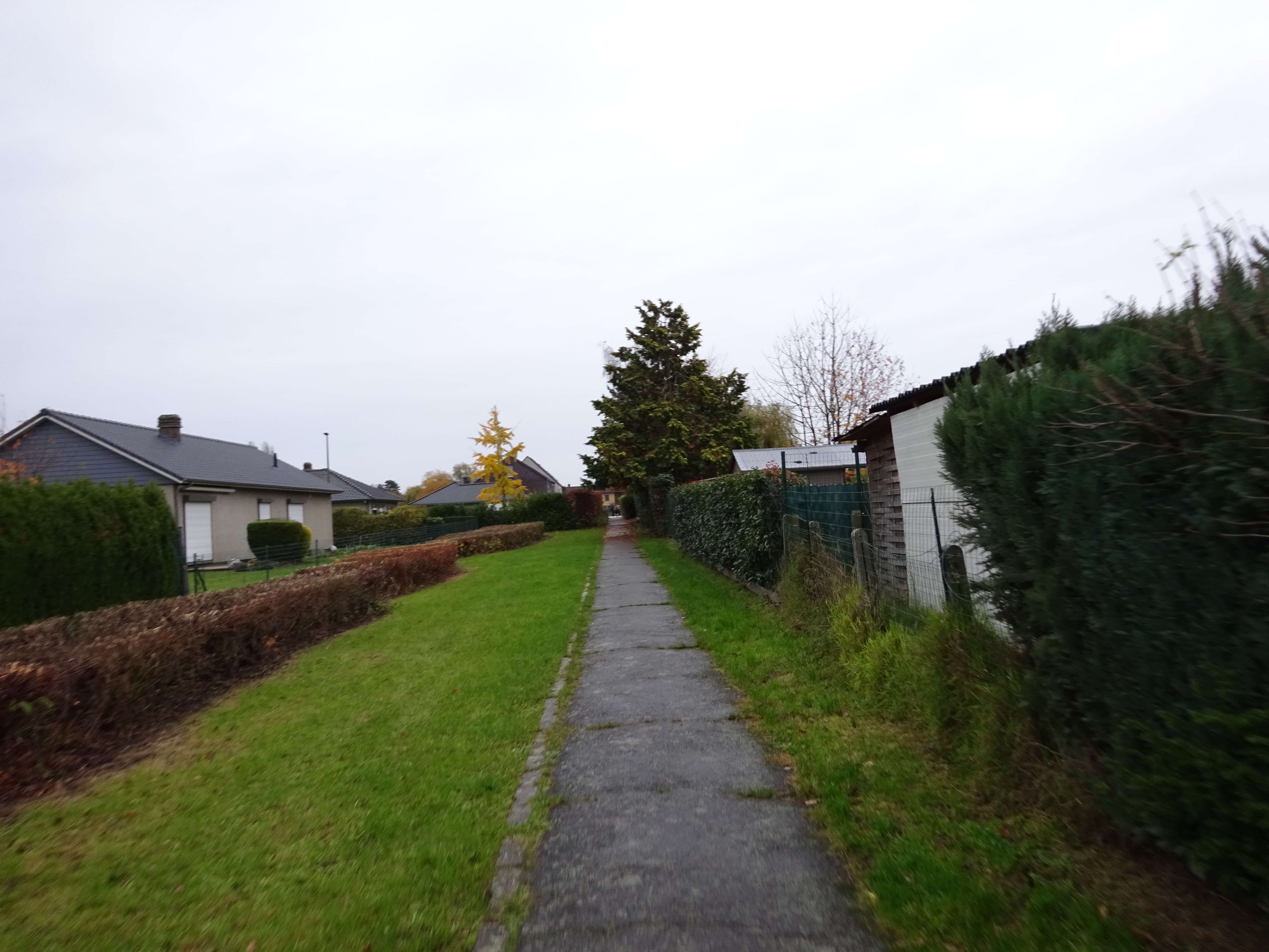 DSC01053
